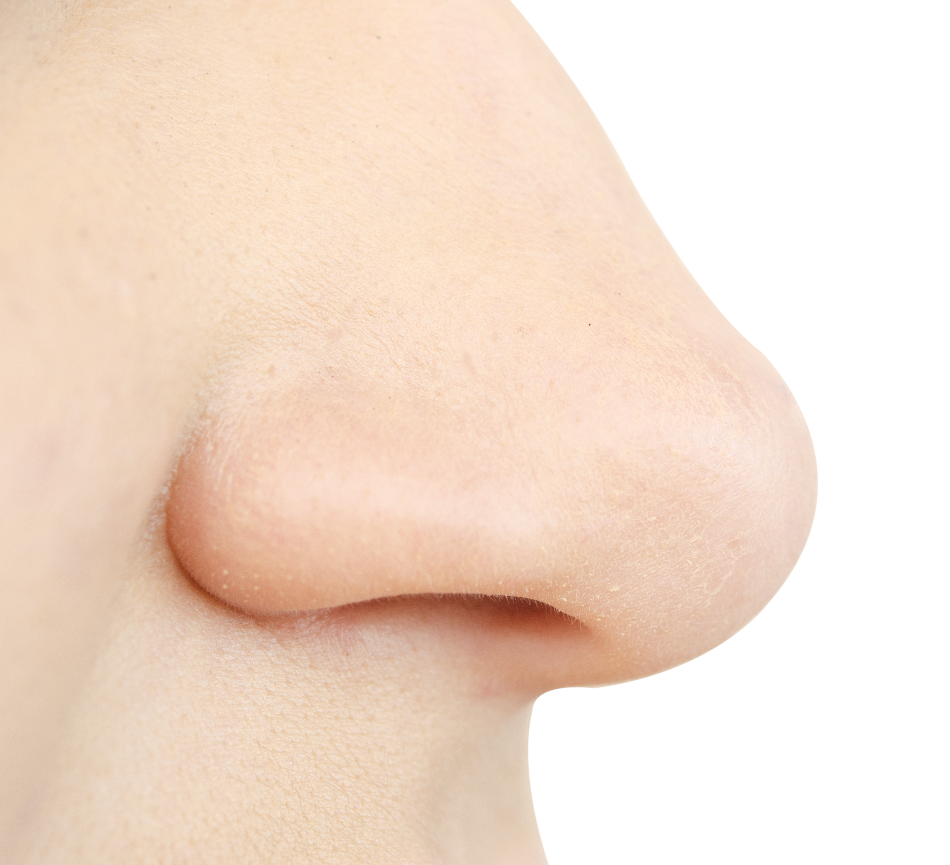 人間の鼻のイメージ写真